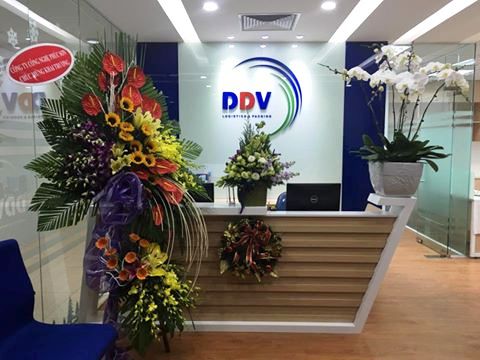 Việc làm đang tuyển dụng tại Công Ty Cổ Phần Ddv Logistics Việt Nam