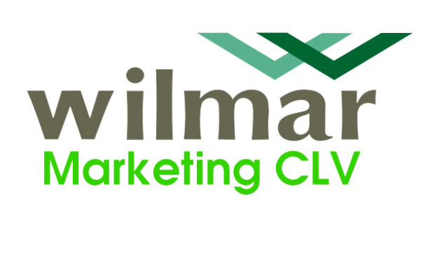 Việc làm Công Ty TNHH Wilmar Marketing Clv tuyển dụng